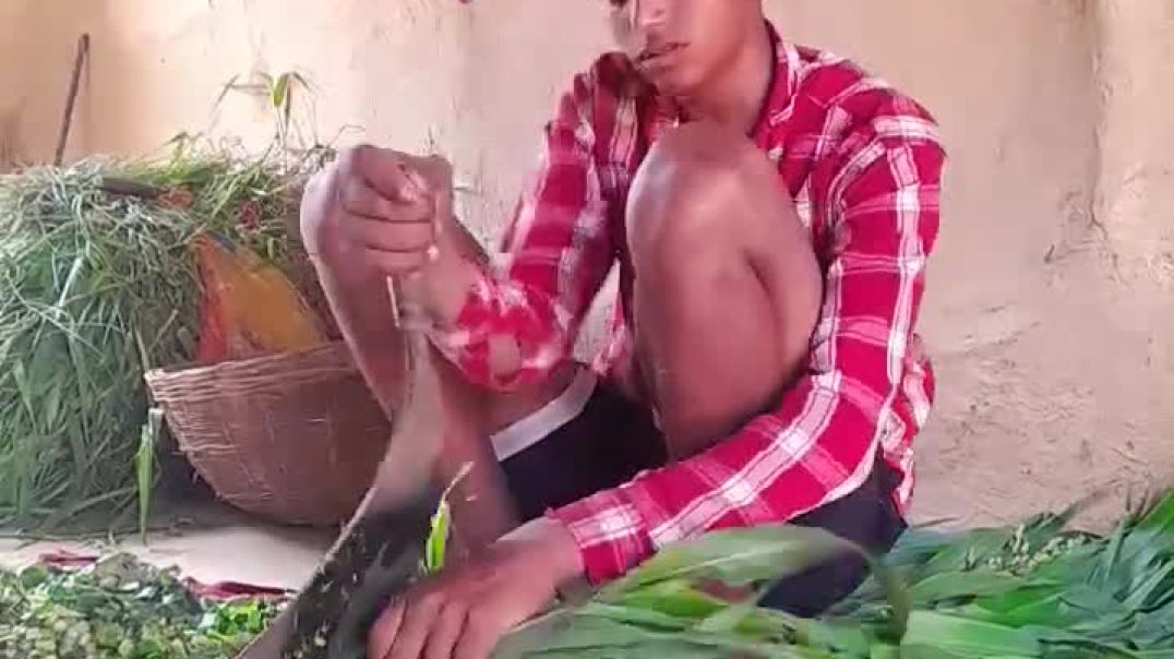 ⁣#viral #shorts #youtubeshorts