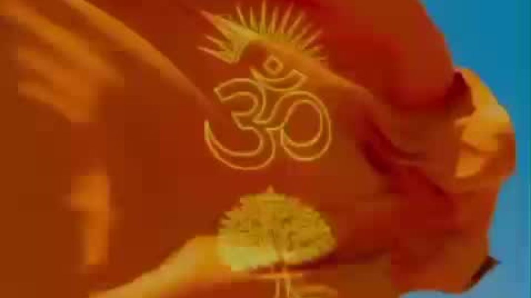 ⁣VID-20251125-WA0021