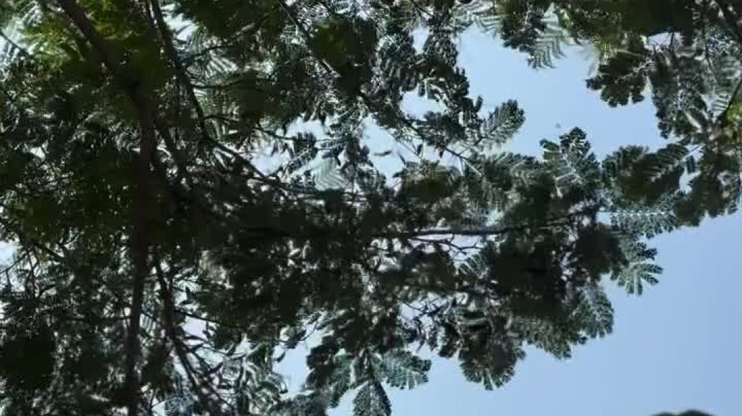 Gullak_todkar_wapas_gaya_toh