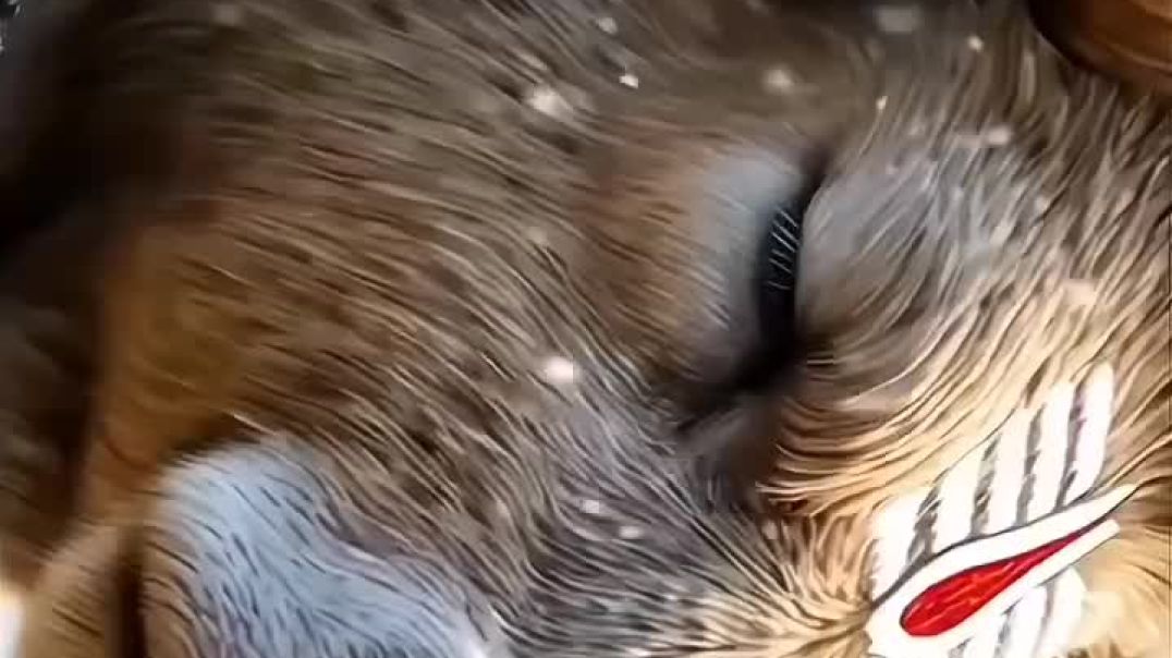 ⁣_storage_emulated_0_Android_data_com