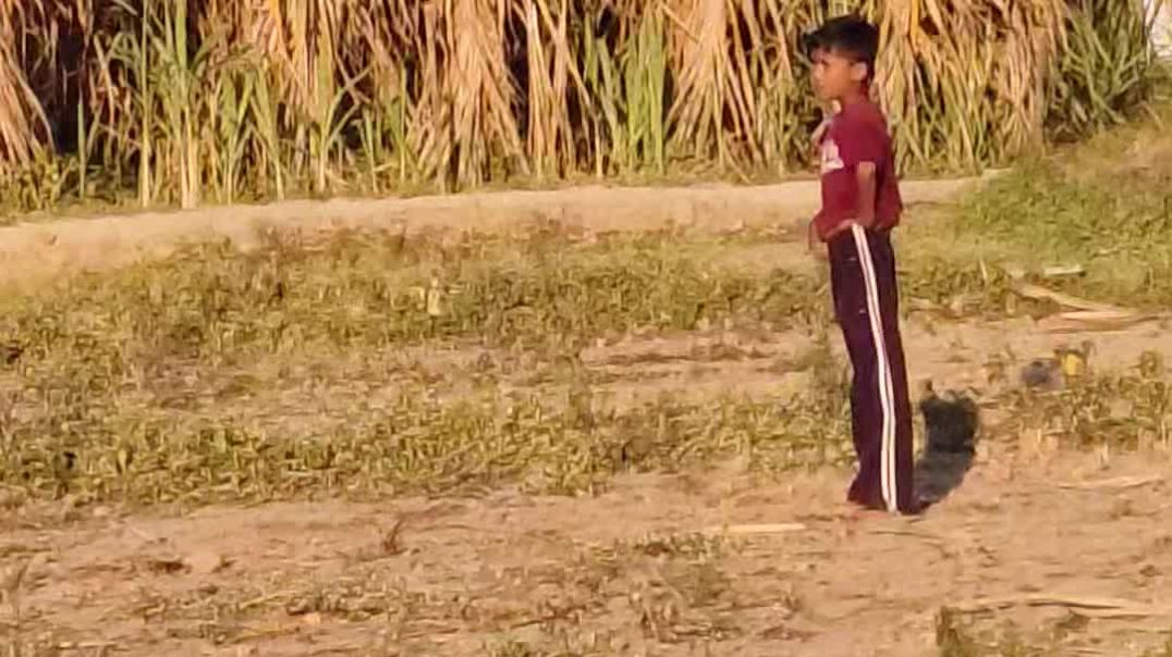 video_20251128_163245