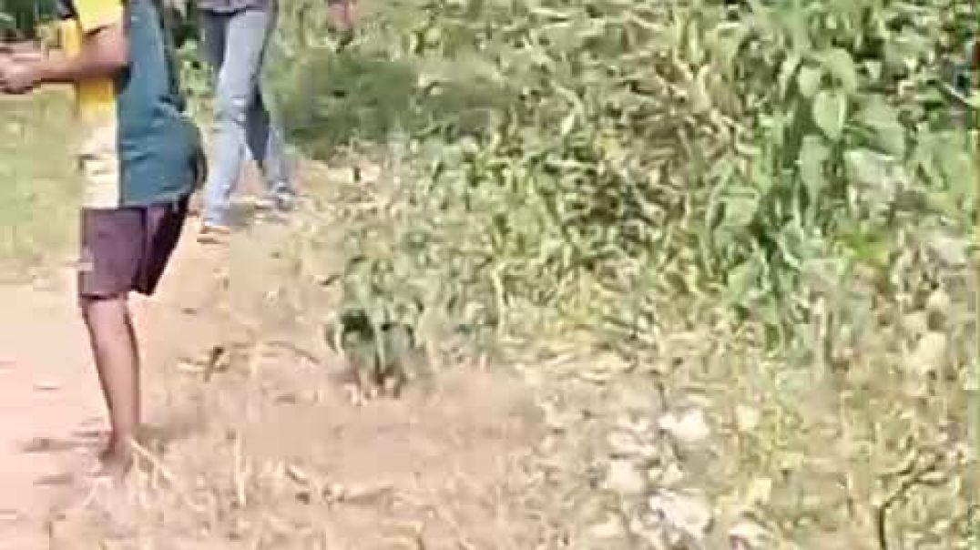 ⁣Ladai Vlog #vlog #shorts