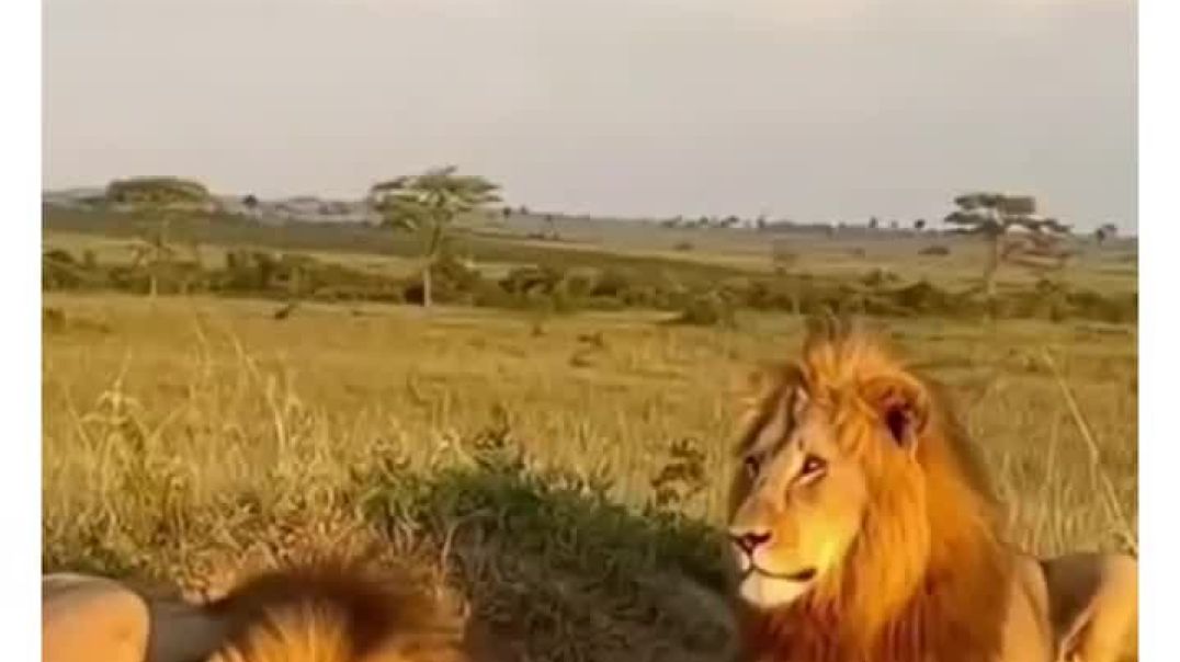 ⁣trendtok  video comedy Hindi