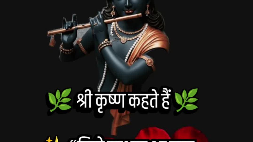 VID_20251208_231208_152_bsl