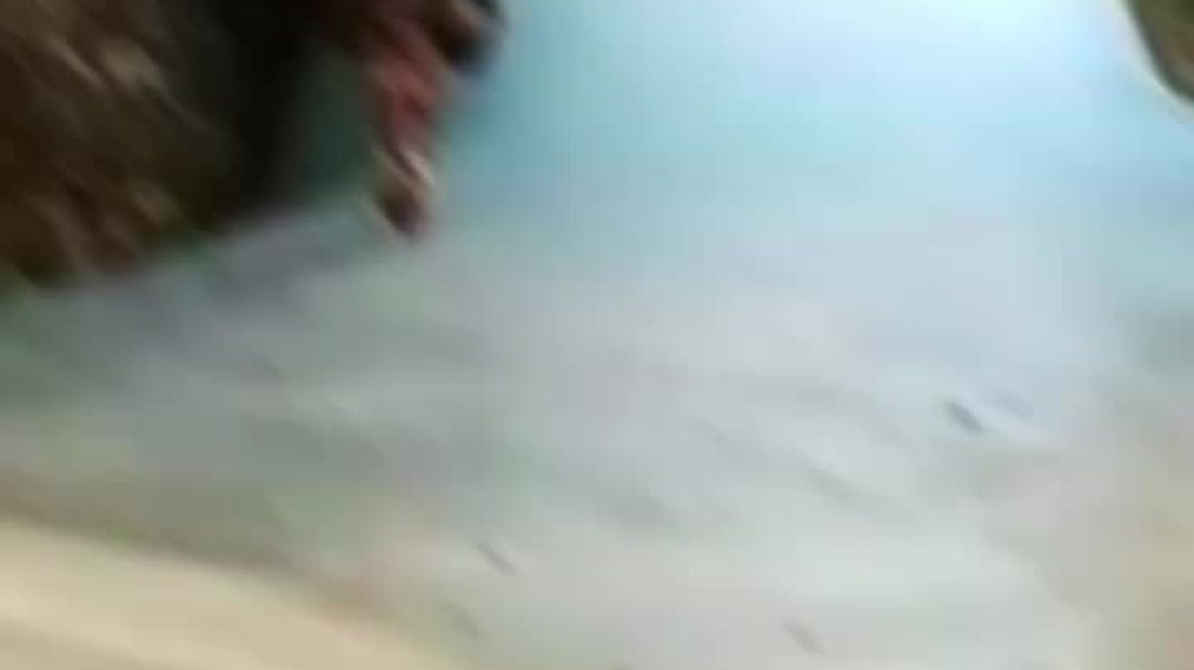 ⁣jai baba barfani #sanatan