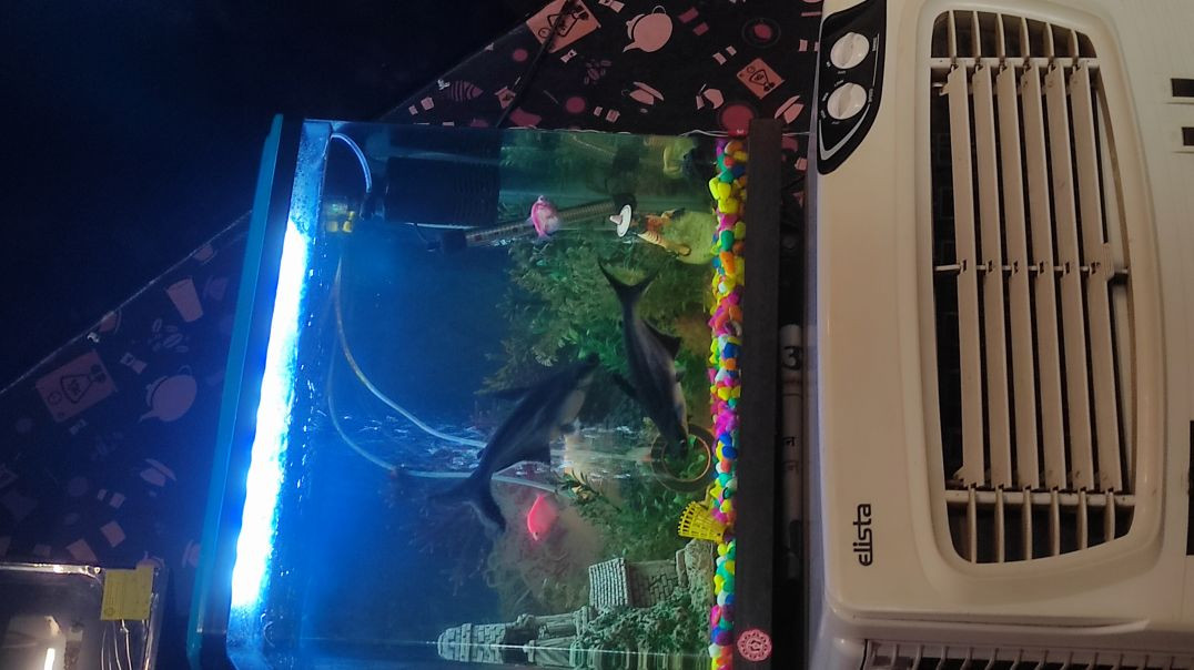 VID_20251214_034724_357_bsl