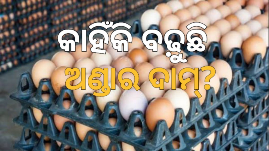 ଜଣା ପଡ଼ିଲା ପ୍ରକୃତ ସତ।