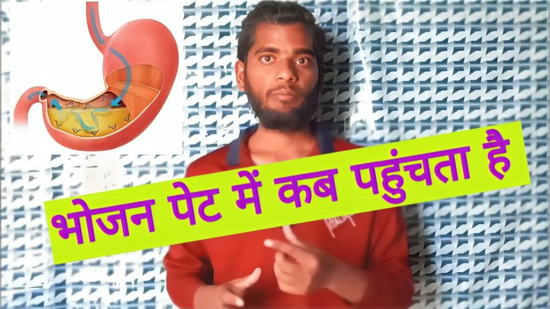 Bhojan pet me kab pahuchta hai .|| AC Prashant