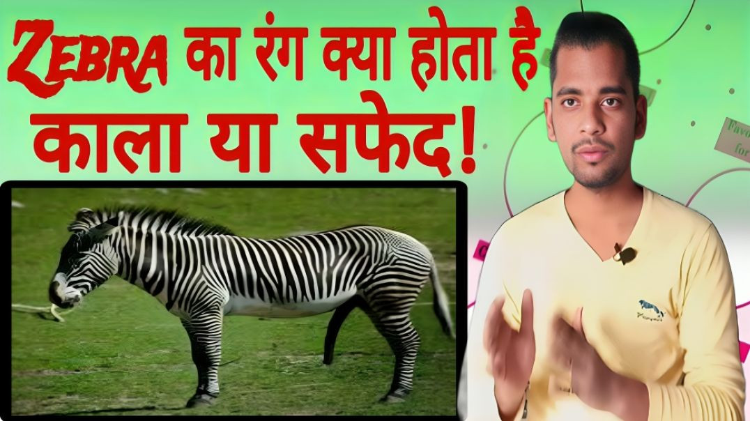 ⁣Zebra किस Colour का होता है | AC Prashant