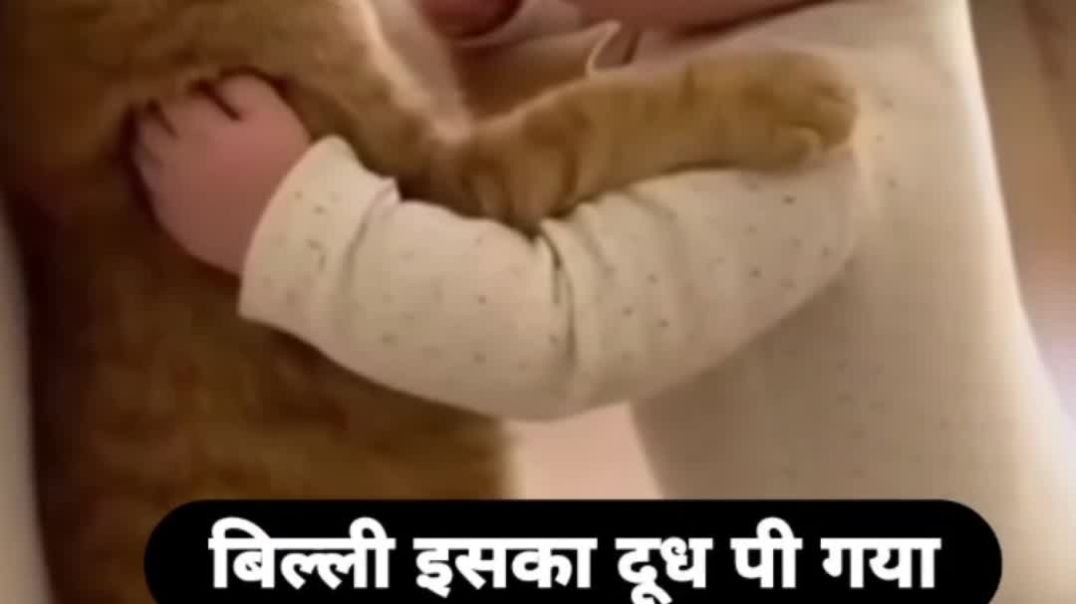 ⁣#बिल्ली इसका दूध पी गया।