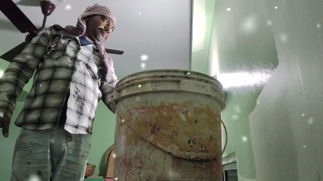 ⁣HD royal shine paint 🫟 #paint