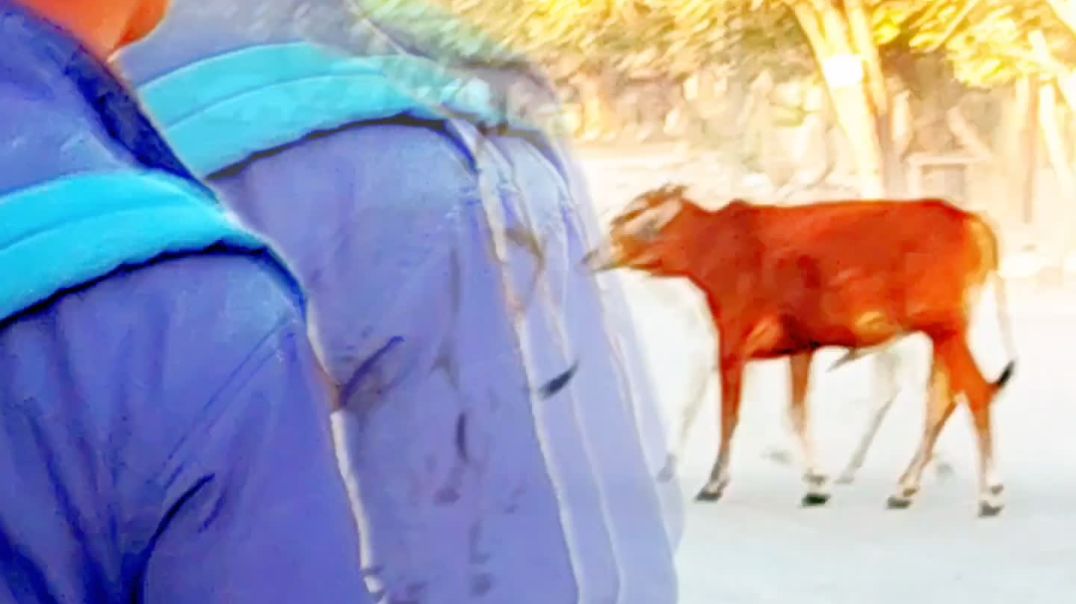 InShot_20251223_183513915