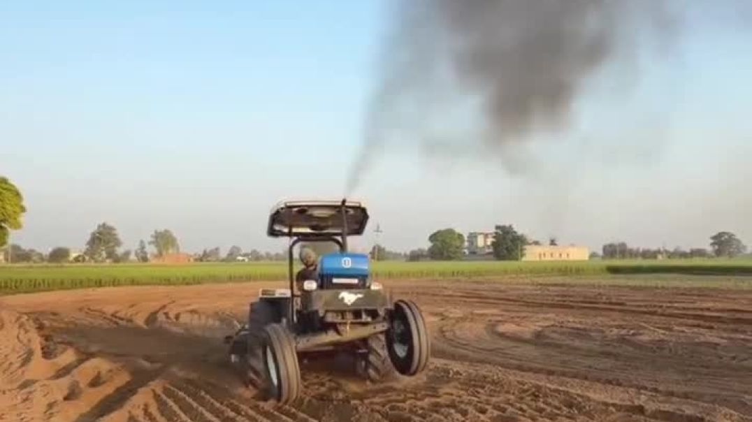 ⁣Chouhan king viral video shorts Chouhan king 🤴 ♥️