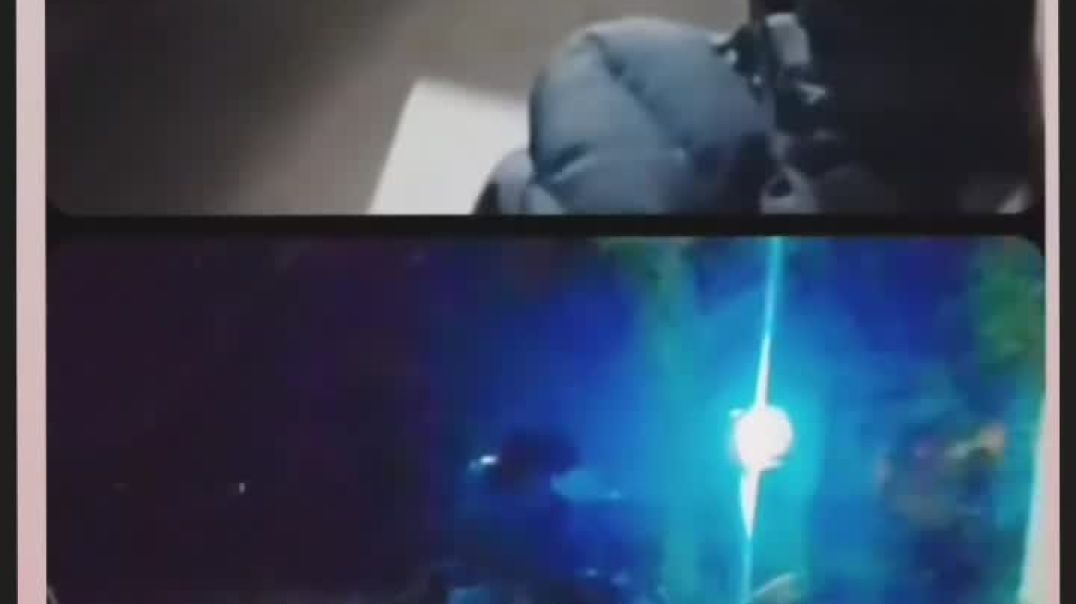 ⁣Tu yahà chal na baha chal song 🥰#viral video #trending short #short