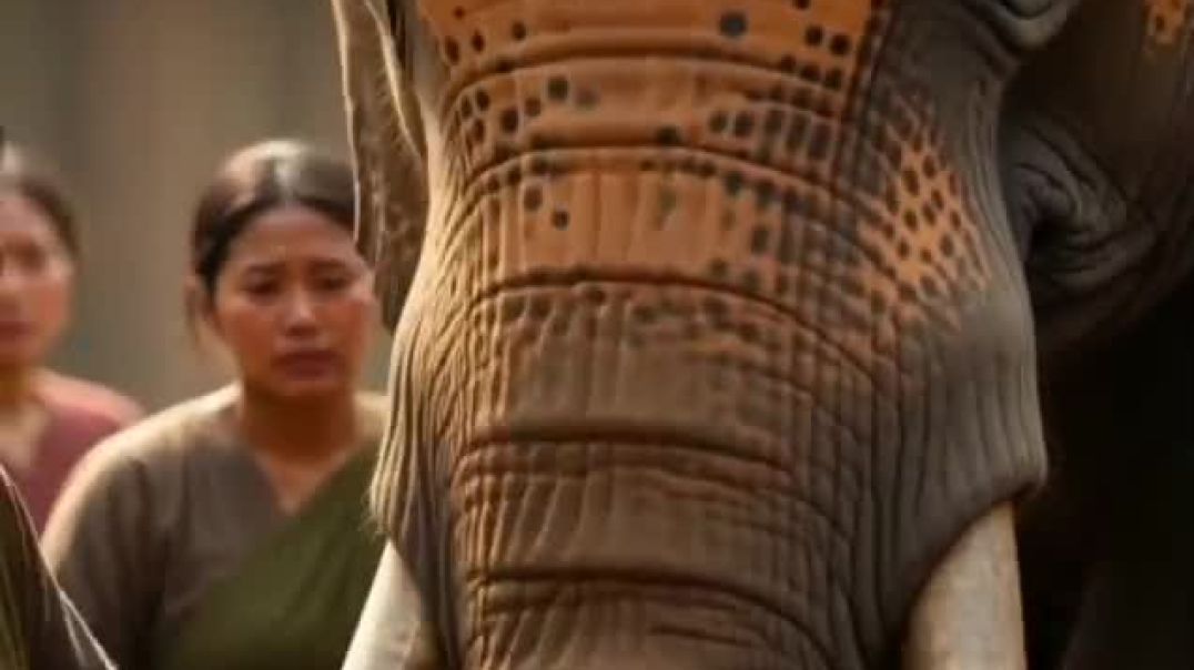 ⁣VID-20251128-WA0001