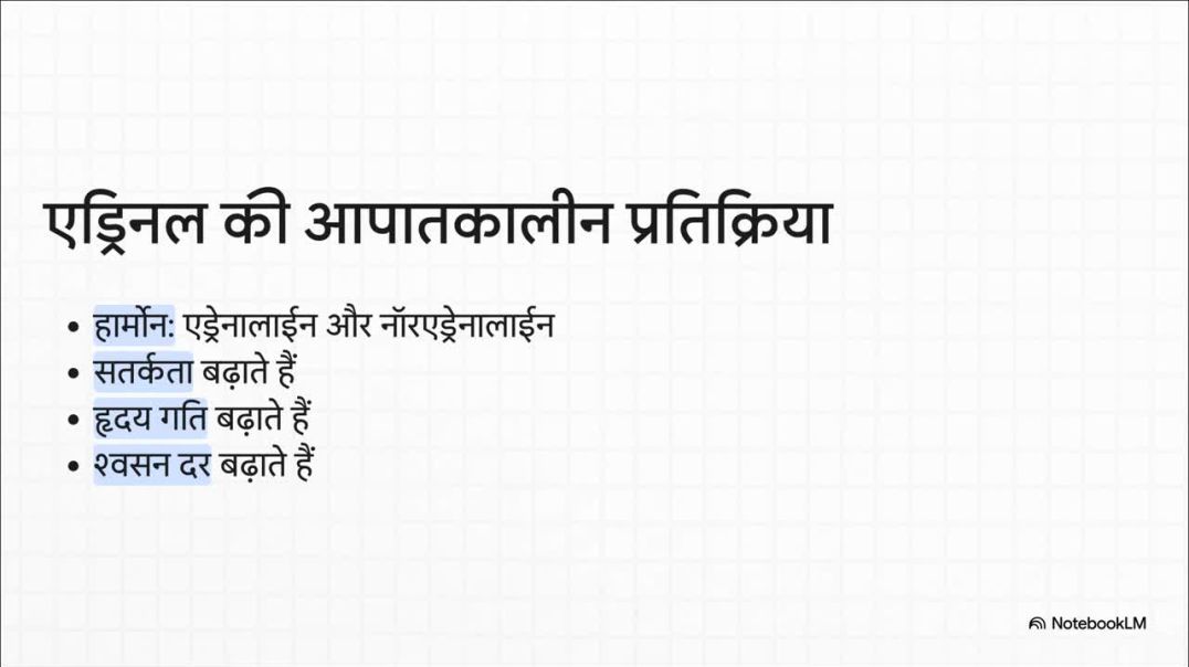 ⁣11th Biology Chapter 19 एंडोक्राइन_सिस्टम__एक_गाइड
