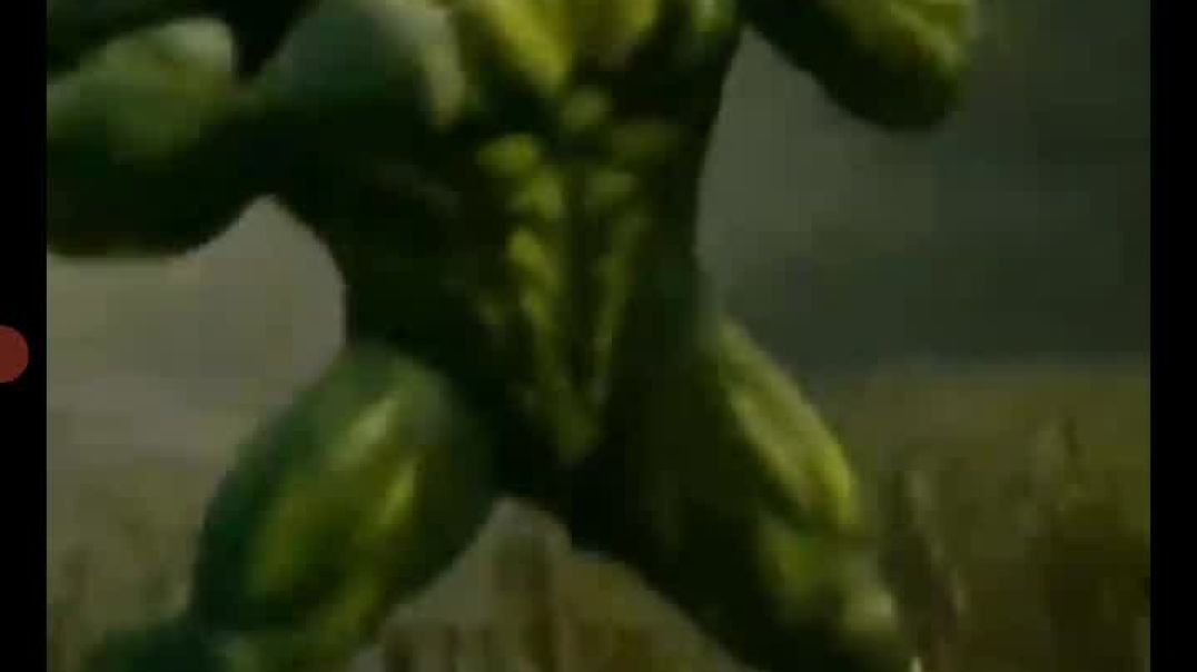 ⁣#battle of Titans : King Kong 🦍🦍 vs Godzilla 🐊🐊 #mrbeast #anime #feeding shorts