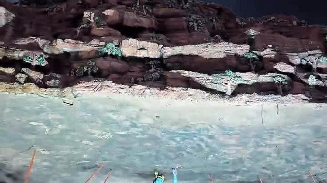 ⁣राधे राधे_🦚__premmandirmathuravrindavan #shorts🕍🙏