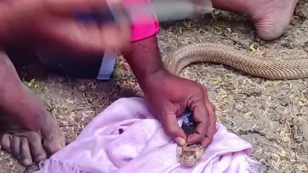 ⁣ऐसे लोगों पर कारवाही होनी चाहिए