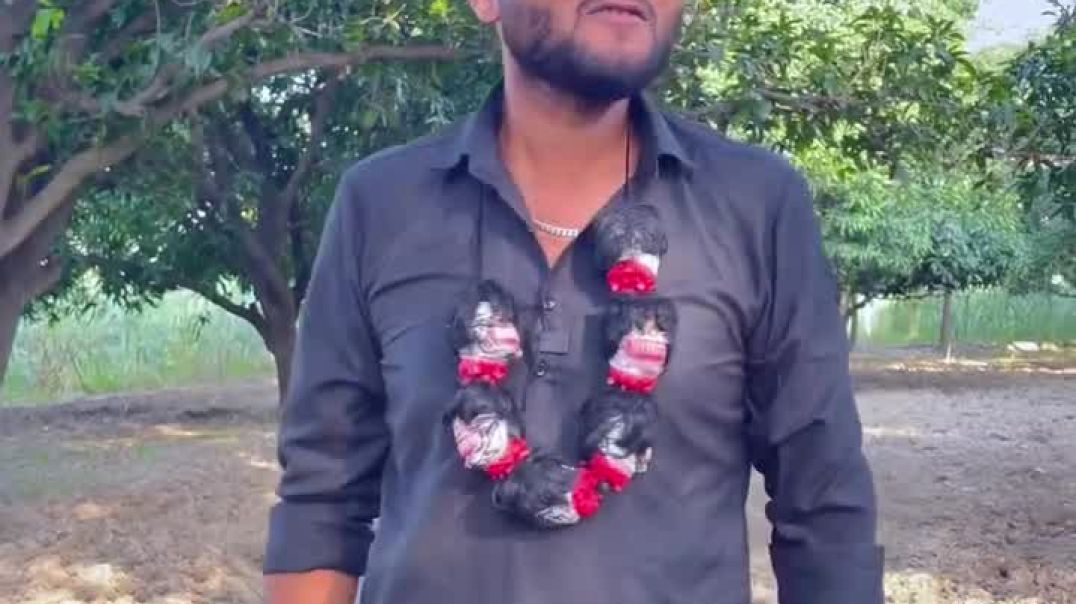 ⁣lal_singh_chauhanvines-20251211-0001