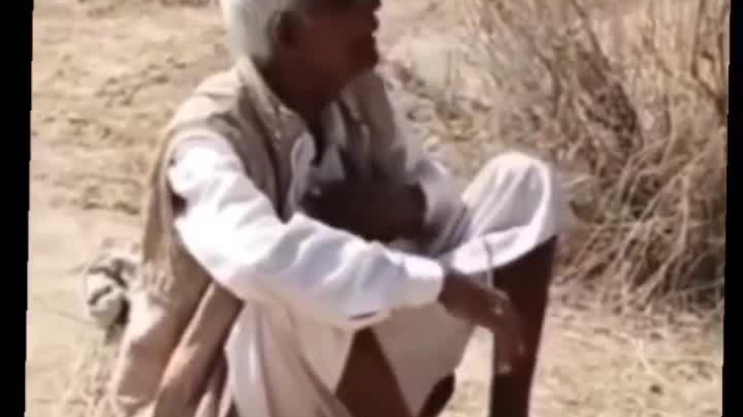 ⁣instagram_-_3061215787658185988_-_royal_baisa_0101_-_Cp7n4o0Lw0E