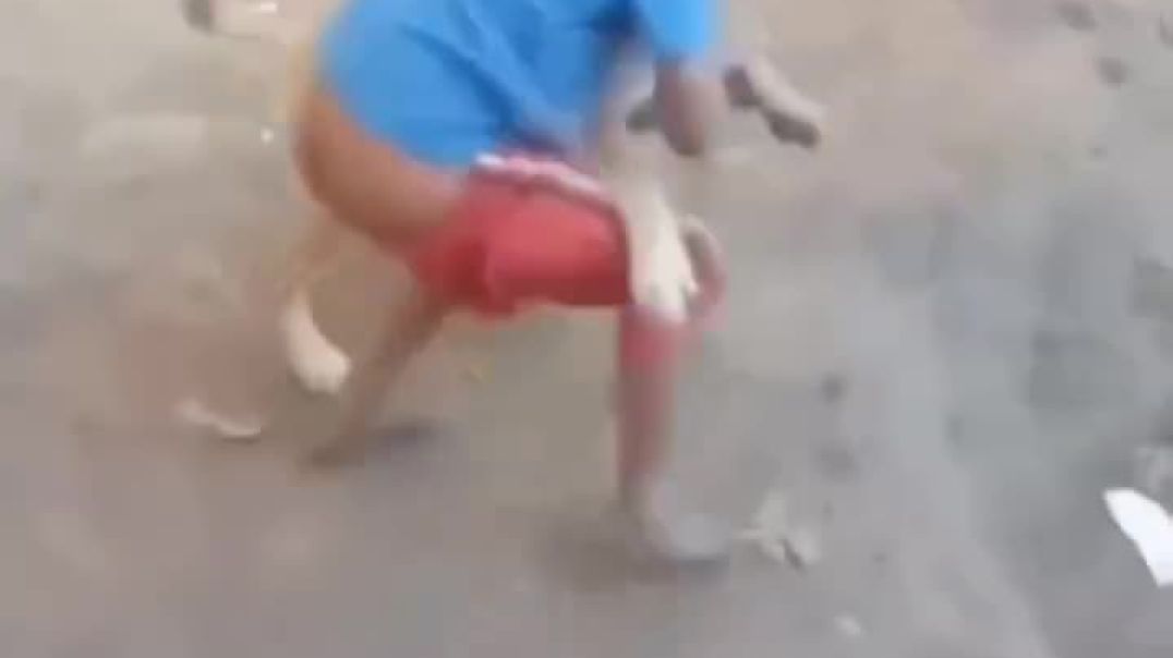 %D0%AF%D0%BF%D0%BE%D0%BD%D0%B8%D1%8F+%D0%B2%D0%BD%D0%B5%D0%B4%D1%80%D1%8F%D0%B5%D1%82+%D1%80%D0%B5%D