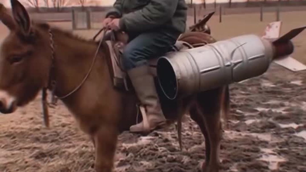 This video ua a donkey