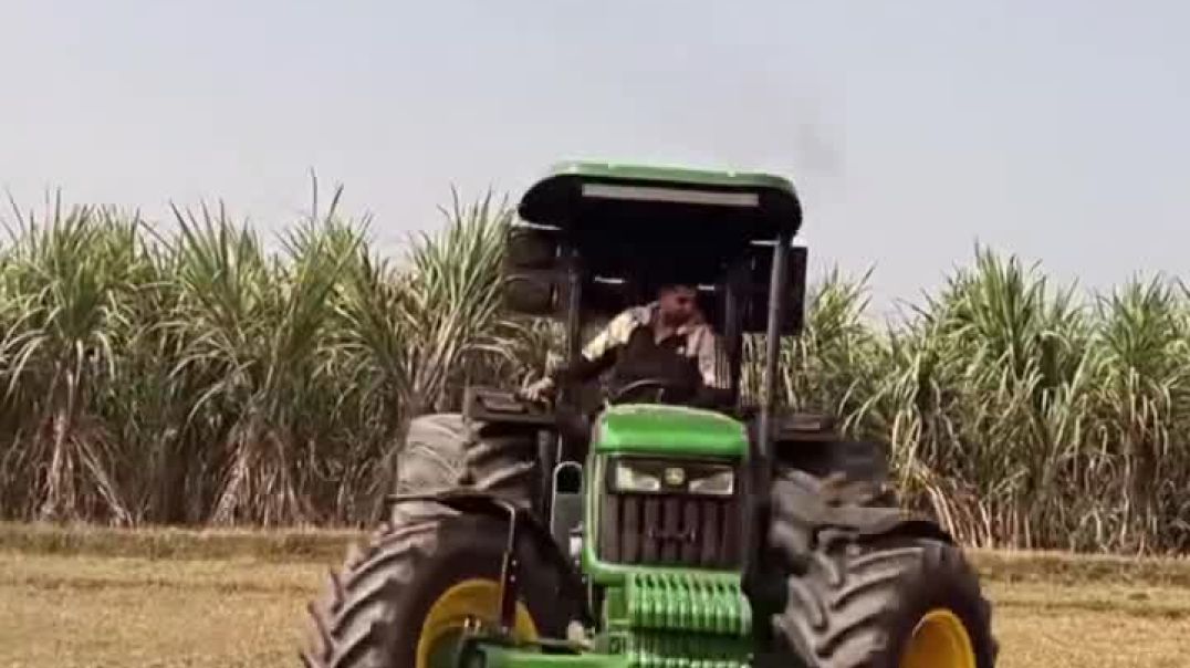 ⁣Chouhan king viral video shorts Chouhan king 🤴 ♥️ 🙌