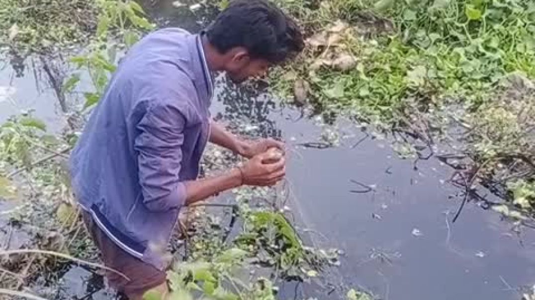 video_20251205_165849