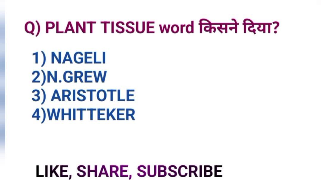 video_20251231_080355_edit