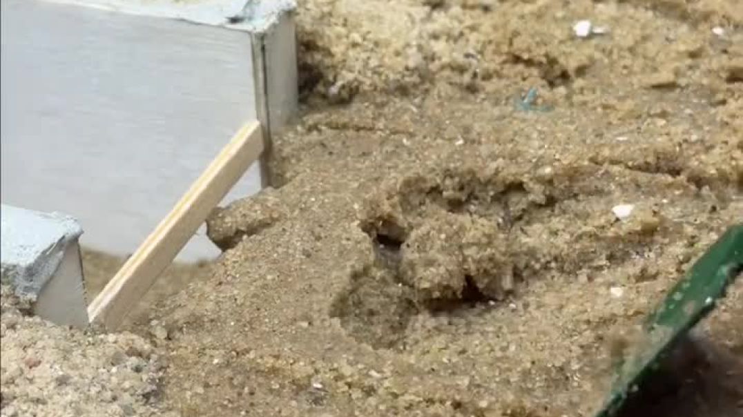 ⁣Create New Home Video