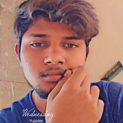 115681849514146387224