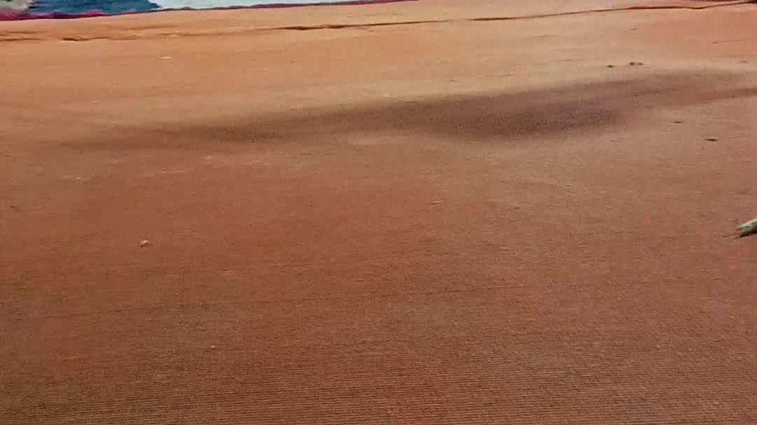 ⁣Dance on Gorakh nath bhajan