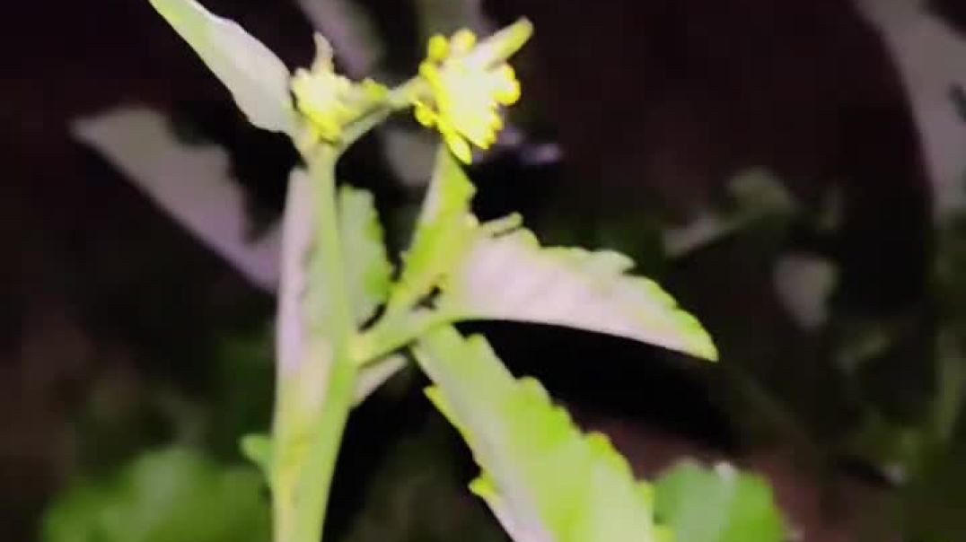 ⁣#farming_#farminglife_#farmingreel