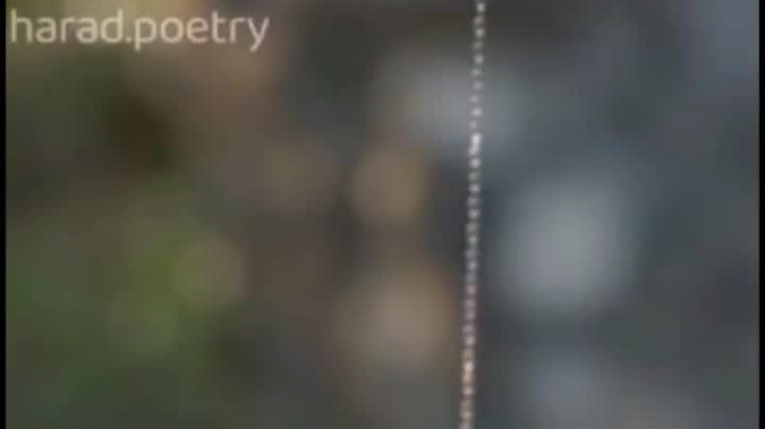 ⁣VID-20251223-WA0005