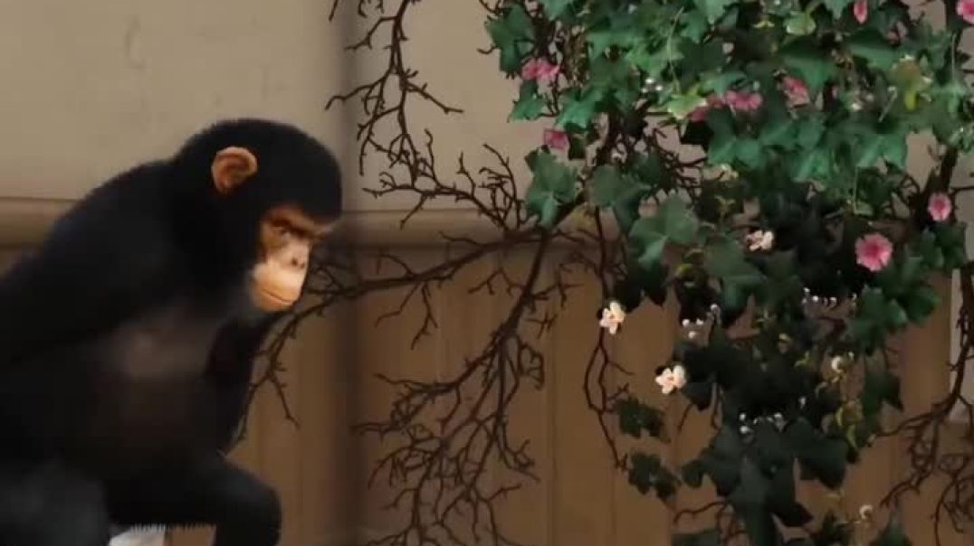 AQNqdUB-3fAbmw49t-feY4KzfSamLfHgFN7F4YevhA7pqFcKx9K3F8tuqI8O6FN0Ivu-znQMfoVBKqE9x6Nz8tFiTKN44pe7x4fL