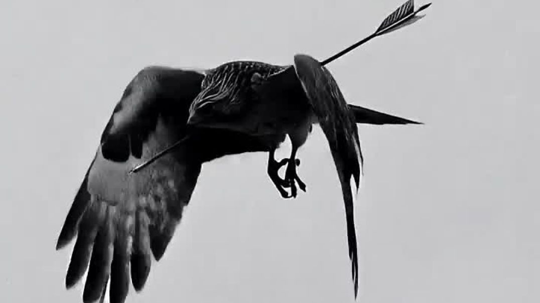 ⁣Your_daily__motivation___inspiration_#motivation_#inspiration_#shorts_#subscribe_##viral