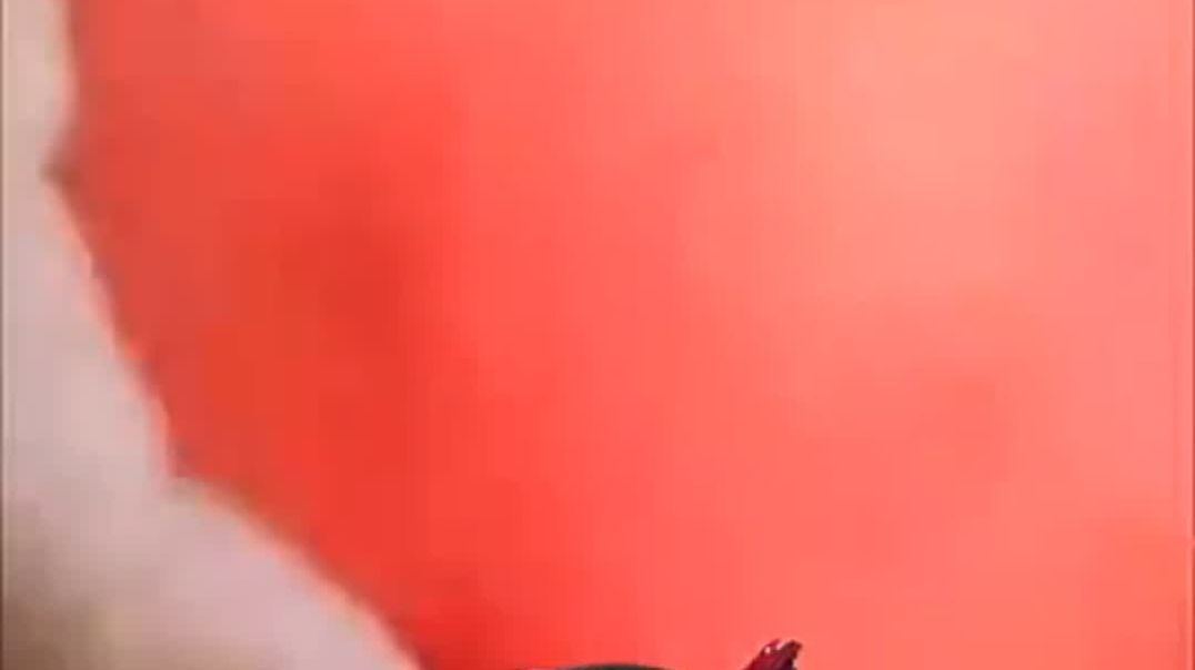 ⁣60 सेकंड में हेल्थ बॉस्ट,सेहत है तो सब है! आज की टिप देखें। 💪