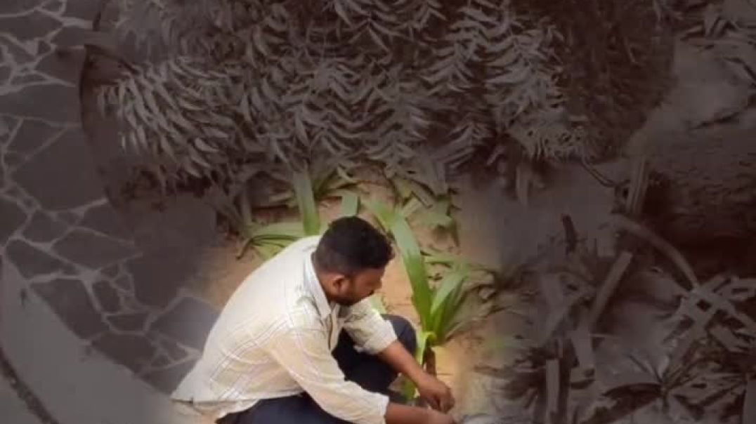 VID_20251214_002633_757