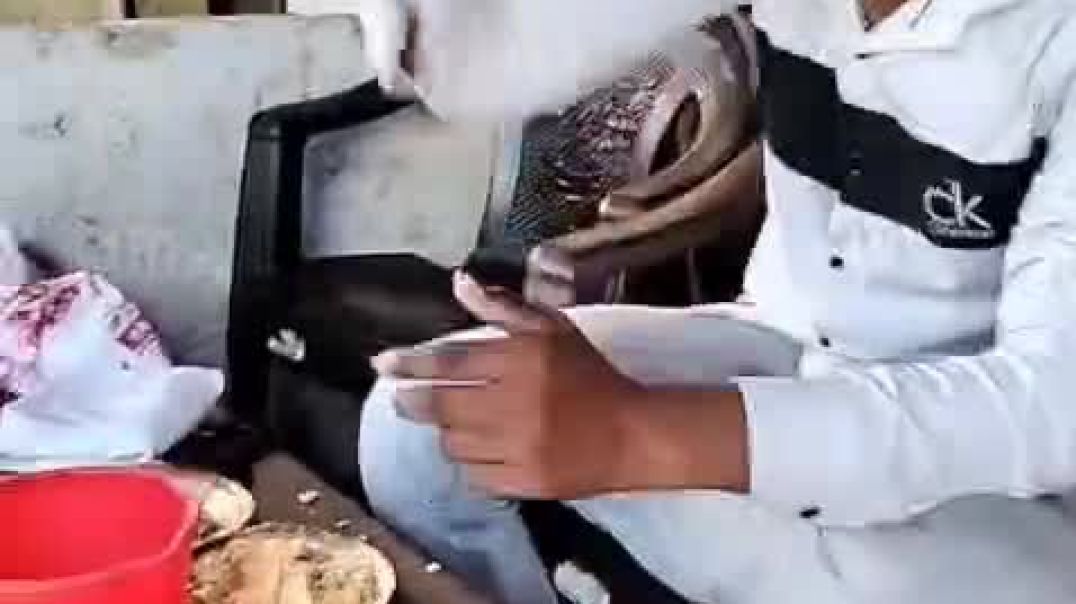 ⁣VID-20251210-WA0000