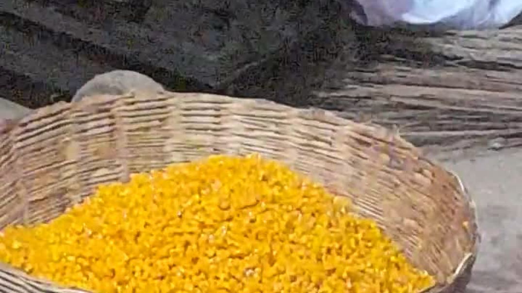 ⁣￼सरस्वती पूजा की तैयारी हो रही है #shorts #youtubeshorts #viral #trending #realfools #rajuandraushan