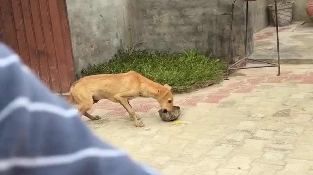 घर मे किसकी इजात है