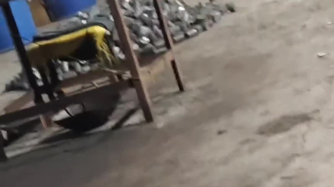 VID_20251207_081855_867