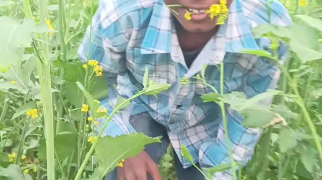 ⁣Sanson ke khet mein