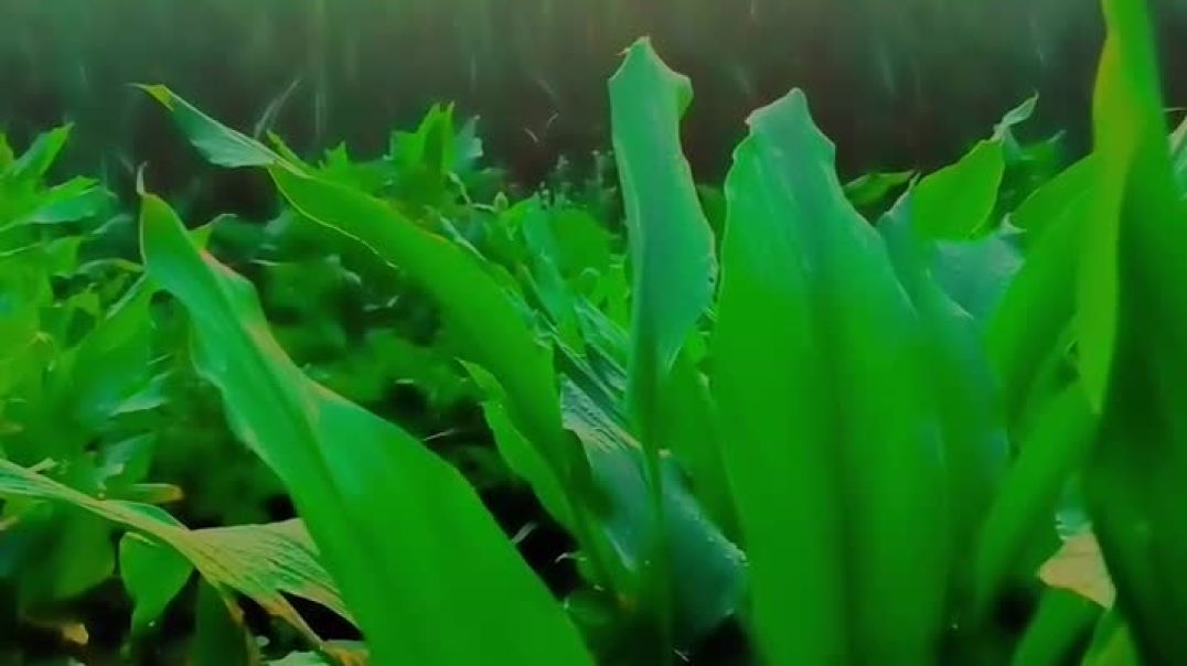 ⁣vicky_rdu-20251020-0001