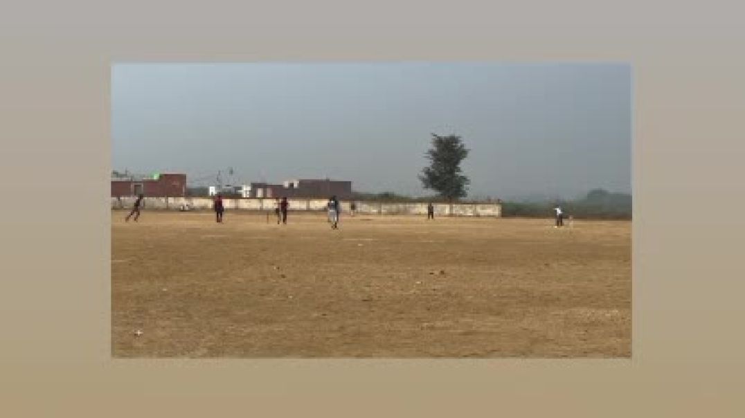 MOV_17661063656141131