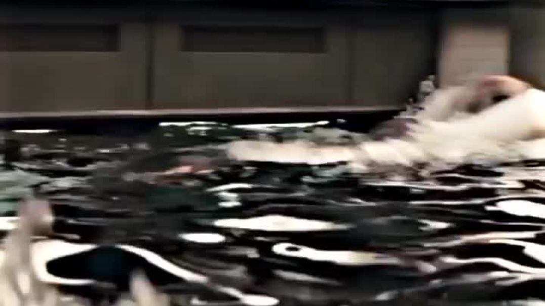 ⁣You_All_Forgot_The_Team_Work_Kingsman_Status_#shorts(720p)