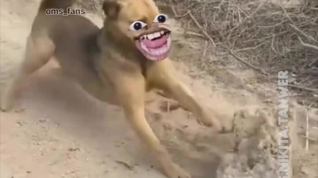 _storage_emulated_0_Android_data_com