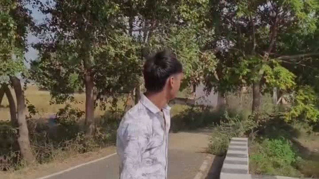 ⁣Rangdari Video #viral #song