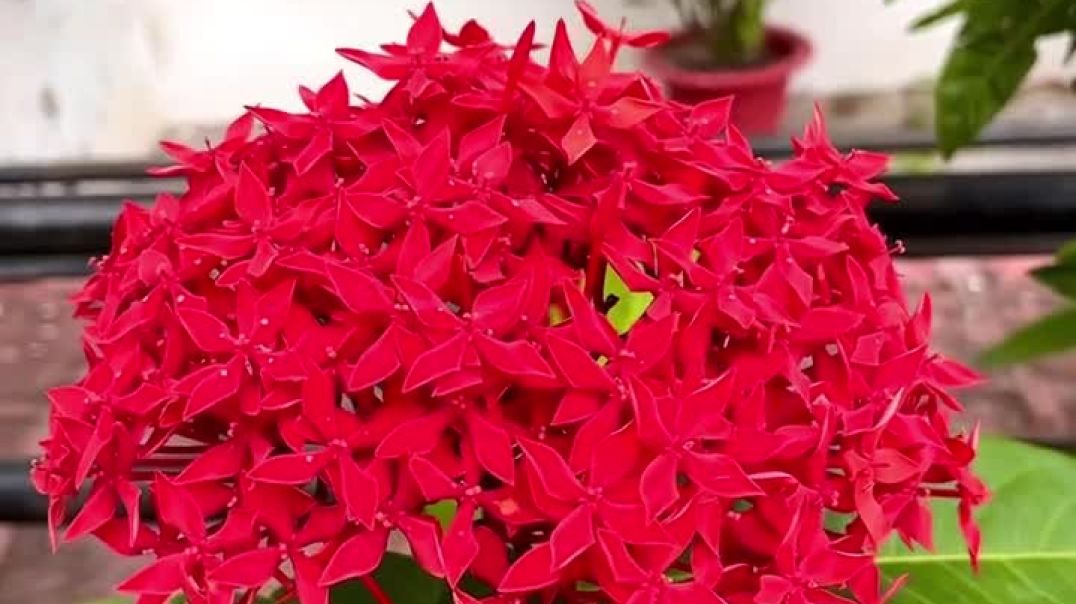 ⁣Wait For It 💗🫶🏻 . . . . #ａｅｓｔｈｅｔｉｃ #aesthetics #aesthetic #explore #love #trending #foryou #lovestat